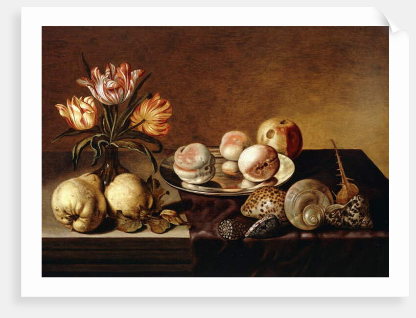 A Silver Plate of Peaches, a Vase of Parrot Tulips, Pears and Shells on a Partly Draped Table by Bartholomeus Assteyn
