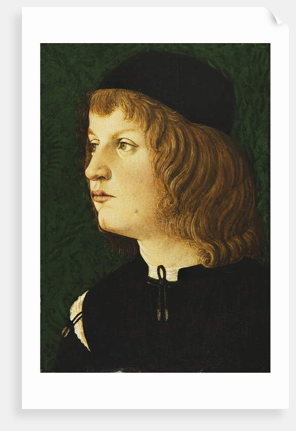 Portrait of a Youth, bust-length, in a Dark Cap, c.1475 by School Florentine