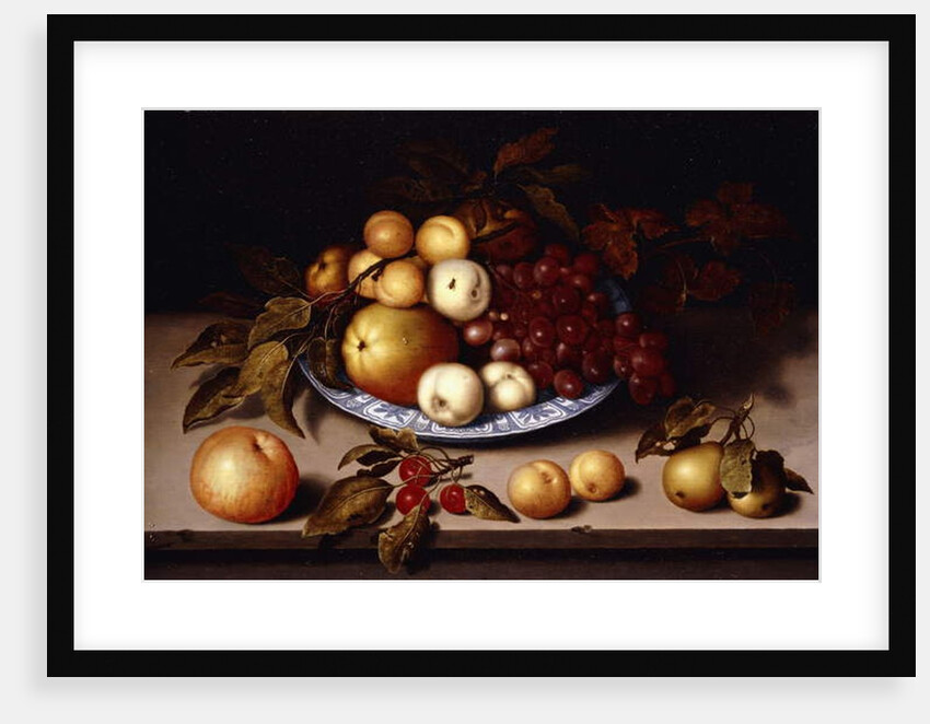 Peaches, Apples, Apricots and Grapes in a Wanli Kraak Porselein Bowl with Cherries, pears, Apricots and an Apple on a Ledge by Ambrosius the Elder Bosschaert