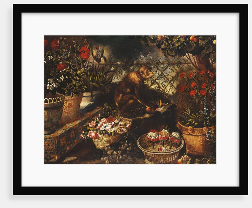 A Monkey in a Fenced Garden by Thomas Hiepes