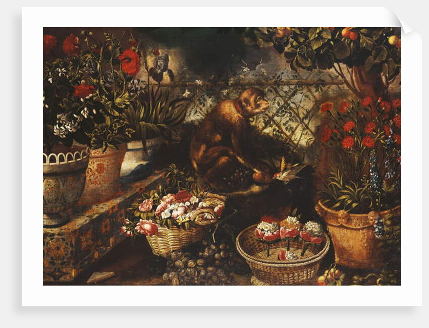 A Monkey in a Fenced Garden by Thomas Hiepes