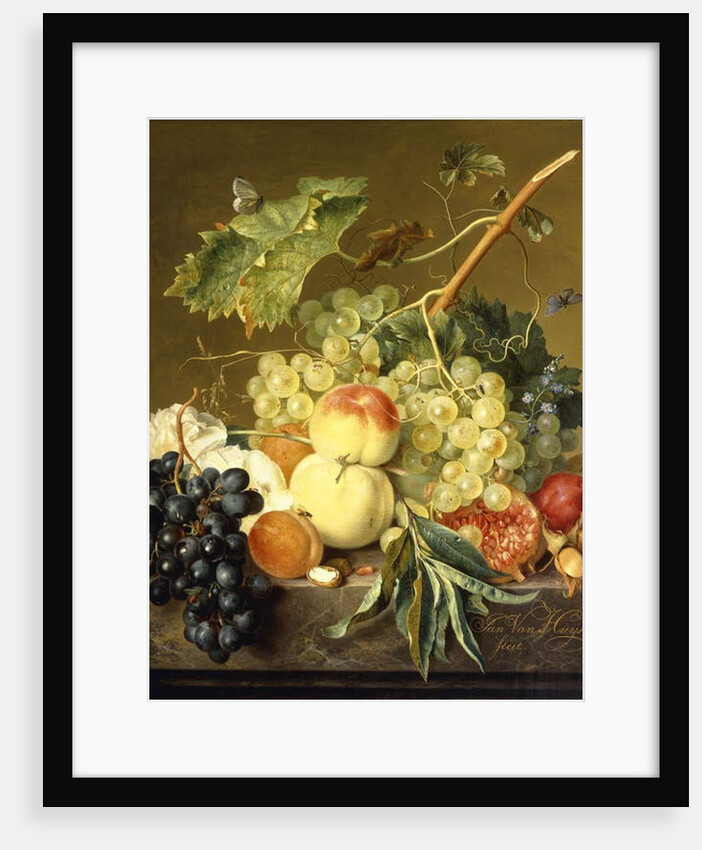 Fruit, Hazelnuts and Hollyhocks on a Marble Ledge by Jan van Huysum