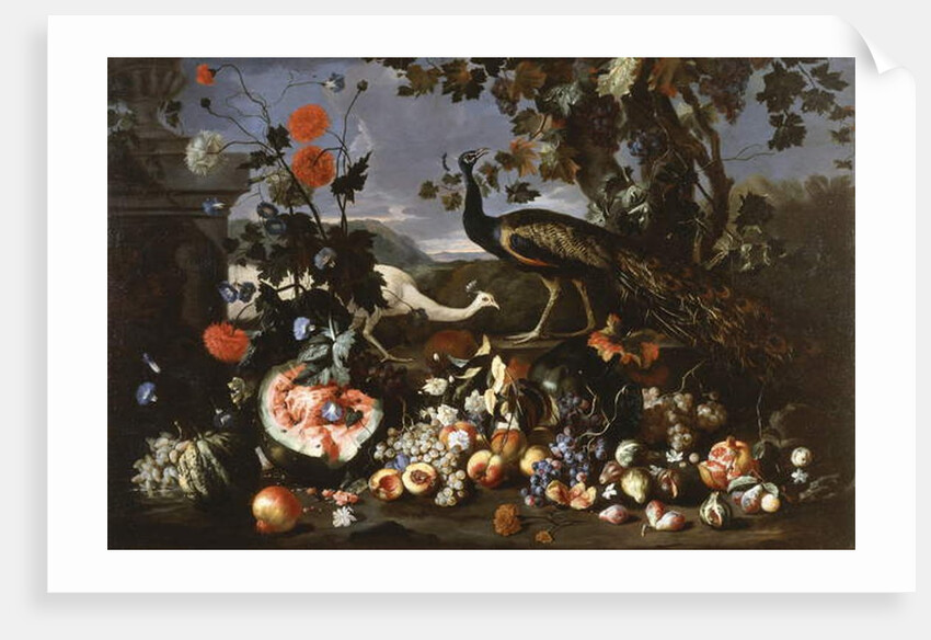 A Peacock and a Penhen with Fruit and Flowers in a Park by Franz Werner Tamm