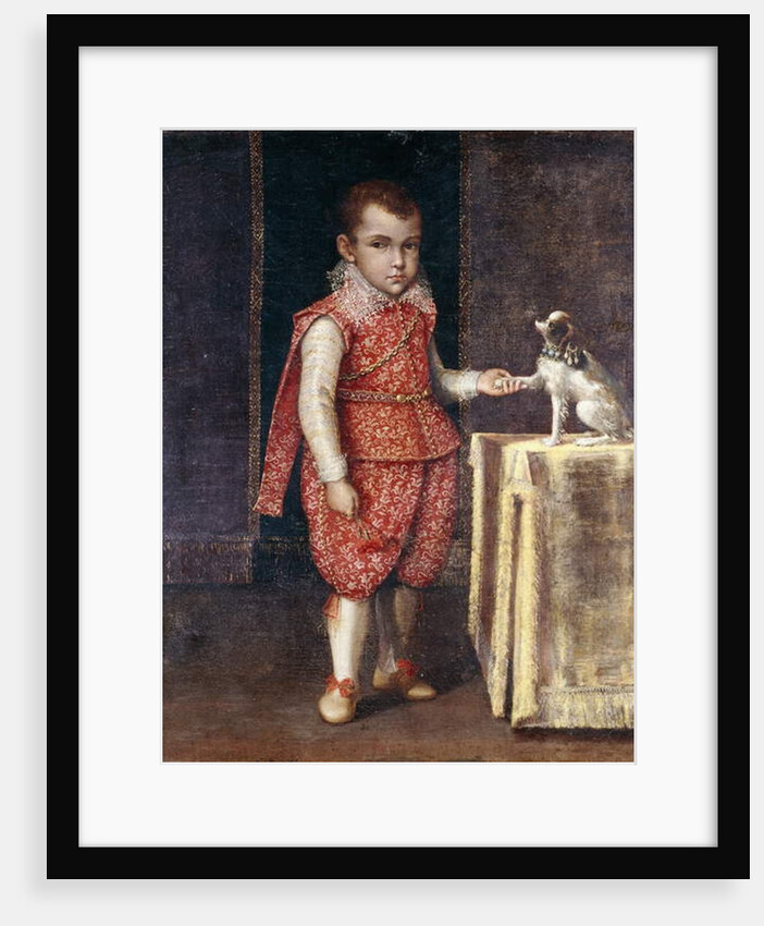 Portrait of a Boy, full-length, wearing a silver-embroidered red costume, holding the paw of a spaniel on a table by Lavinia Fontana