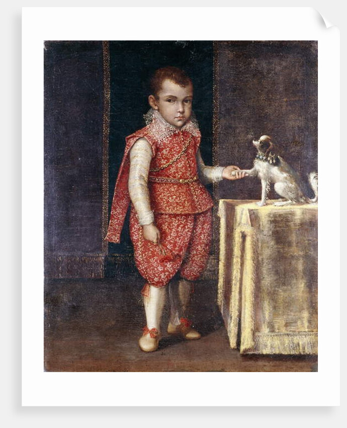 Portrait of a Boy, full-length, wearing a silver-embroidered red costume, holding the paw of a spaniel on a table by Lavinia Fontana