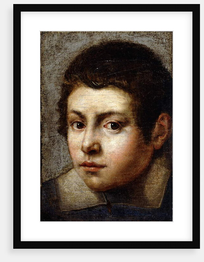 Head of a Boy by Northern Italian School