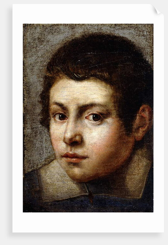 Head of a Boy by Northern Italian School