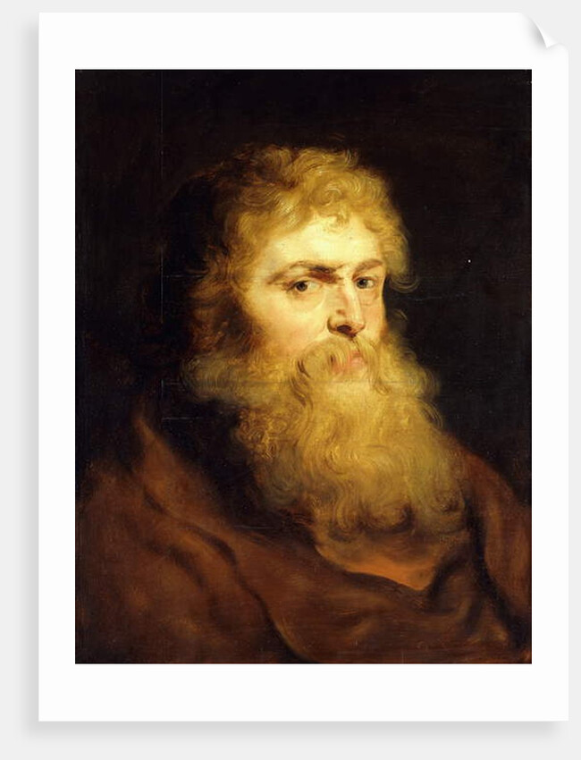 Head of a Bearded Man by Peter Paul Rubens