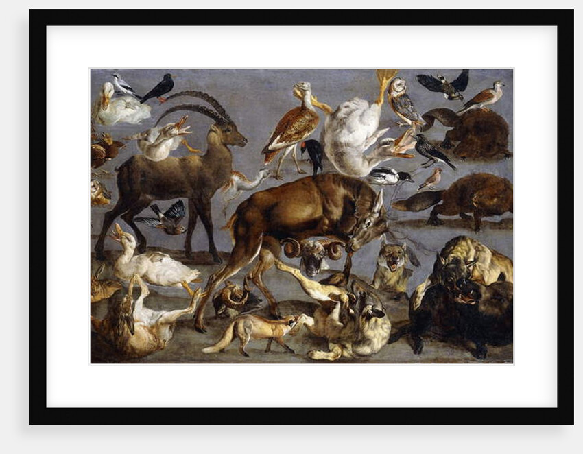 Studies of a Red Deer, an Ibex, a Wild Boar, three Wolves, two Beavers, two Hares by Carl Borromaus Andreas Ruthart