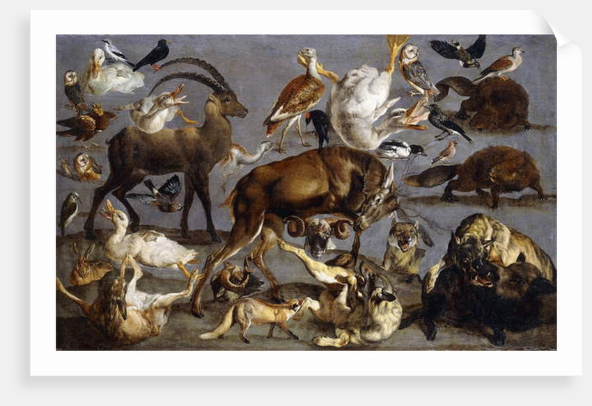 Studies of a Red Deer, an Ibex, a Wild Boar, three Wolves, two Beavers, two Hares by Carl Borromaus Andreas Ruthart