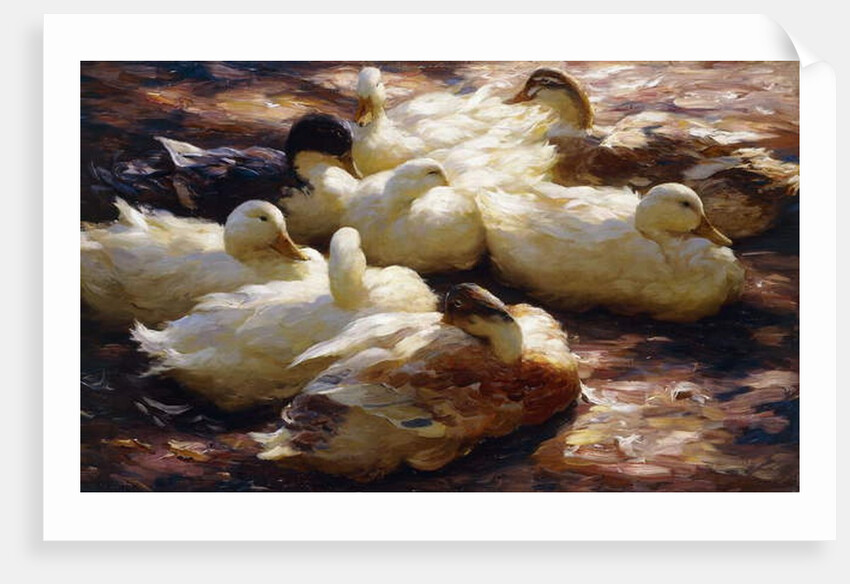 Ducks on a Riverbank, by Alexander Koester
