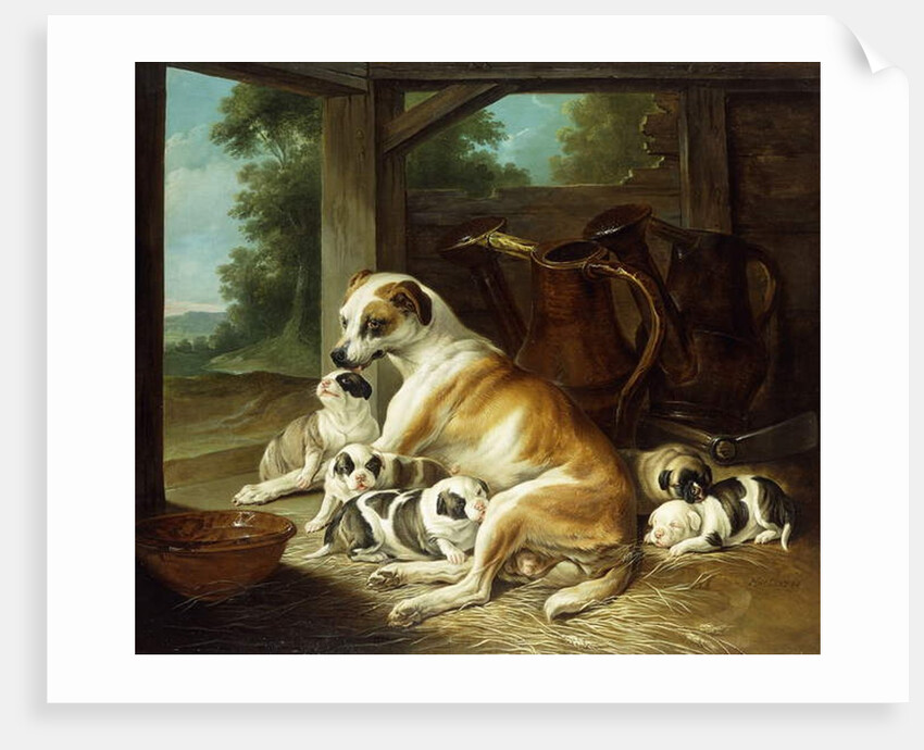 A Mother with her Puppies, 1734 by Christophe Huet