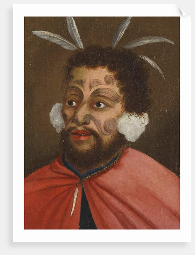 Man of New Zealand by French School