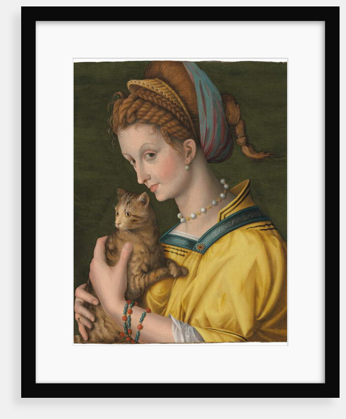 Portrait of a young lady holding a cat by Francesco Ubertini Verdi Bachiacca