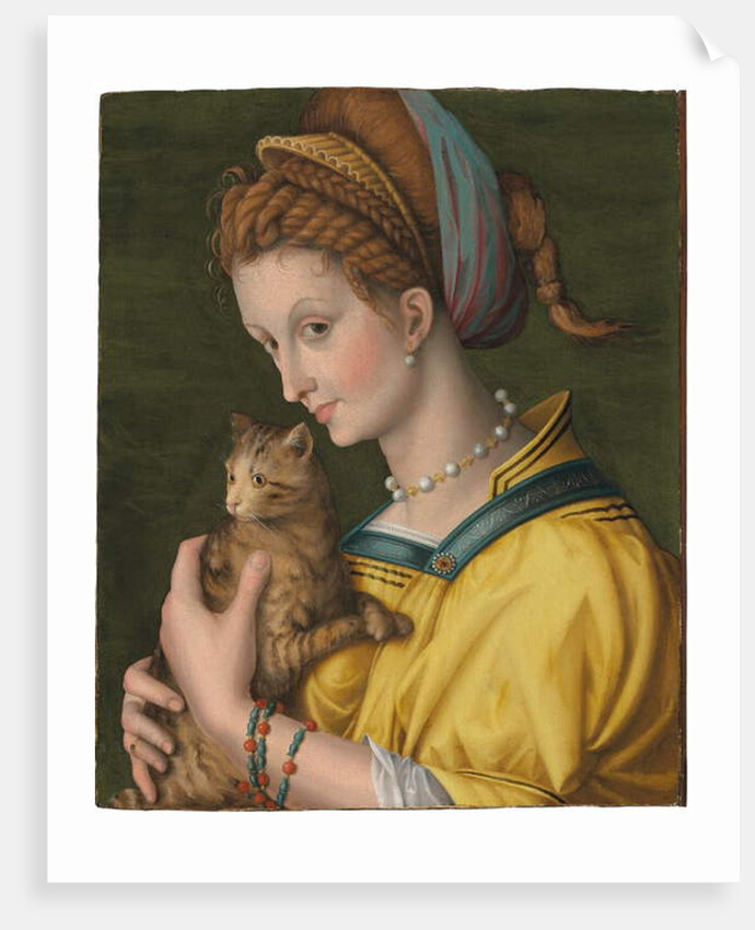 Portrait of a young lady holding a cat by Francesco Ubertini Verdi Bachiacca
