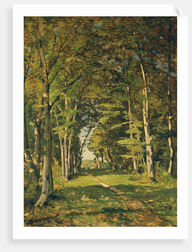 The Woods of Famars, 1887 by Henri-Joseph Harpignies