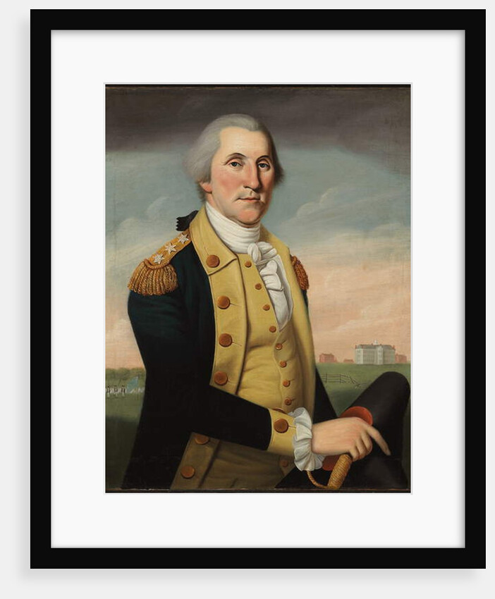 George Washington at Princeton by Charles Peale Polk