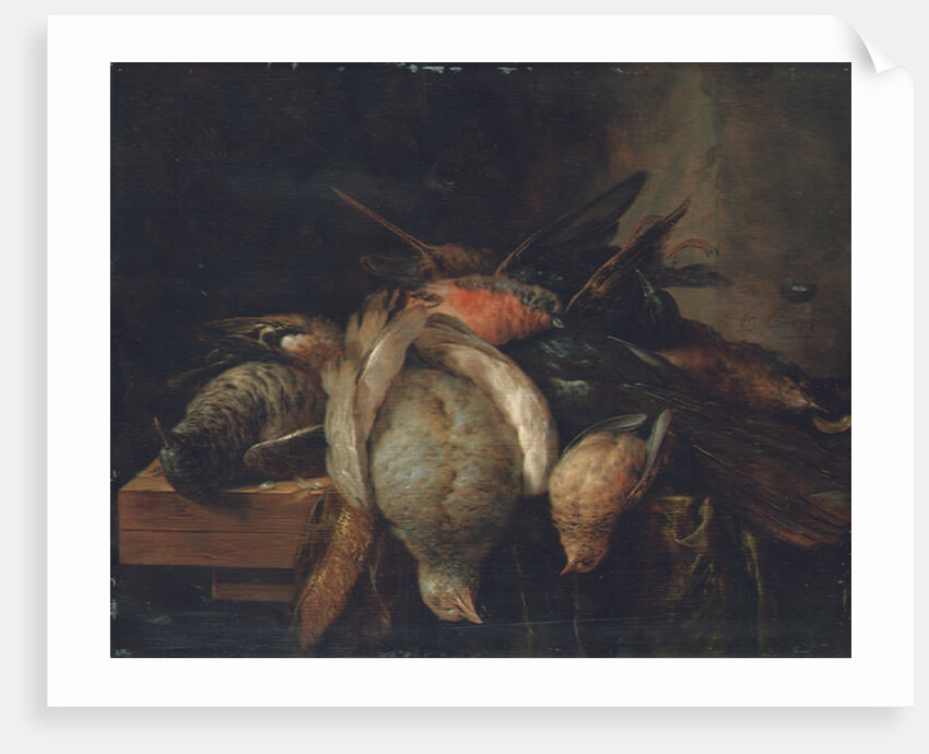 Dead birds on a ledge, 1651 by Cornelis van Lelienbergh