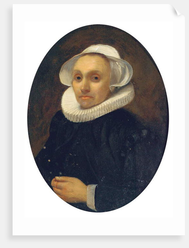 Portrait of a lady by Willem Drost