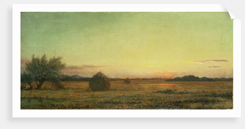Jersey Meadows by Martin Johnson Heade