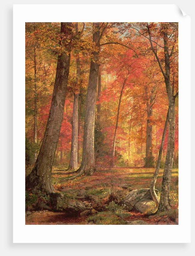 Path in the Forest, 1865 by William Trost Richards