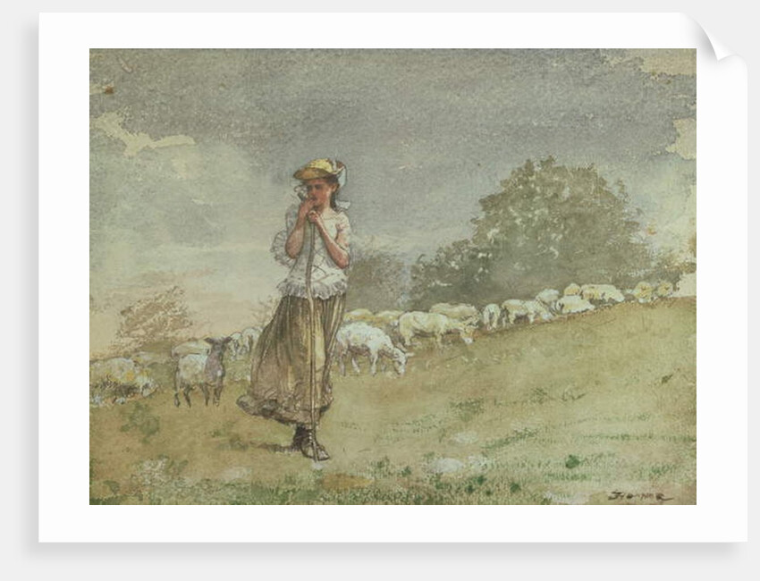 Tending Sheep, Houghton Farm, c.1878-79 by Winslow Homer