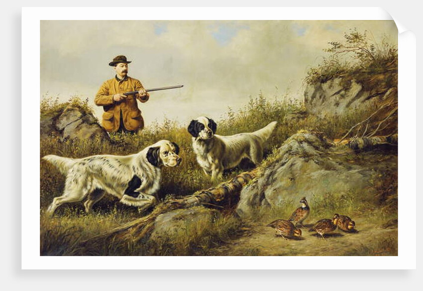 Amos F. Adams Shooting Over Gus Bondher and Son, Count Bondher, 1887 by Arthur Fitzwilliam Tait