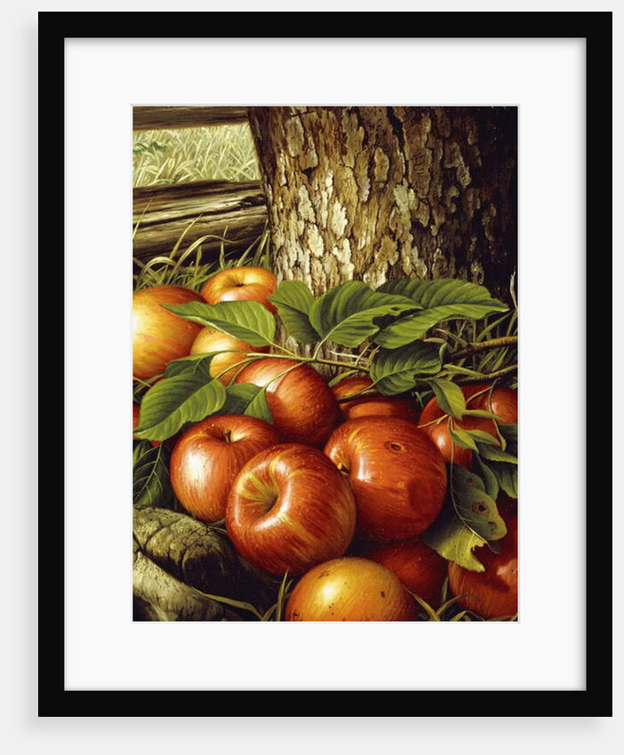 Apples and Tree Trunk, 1891 by Levi Wells Prentice