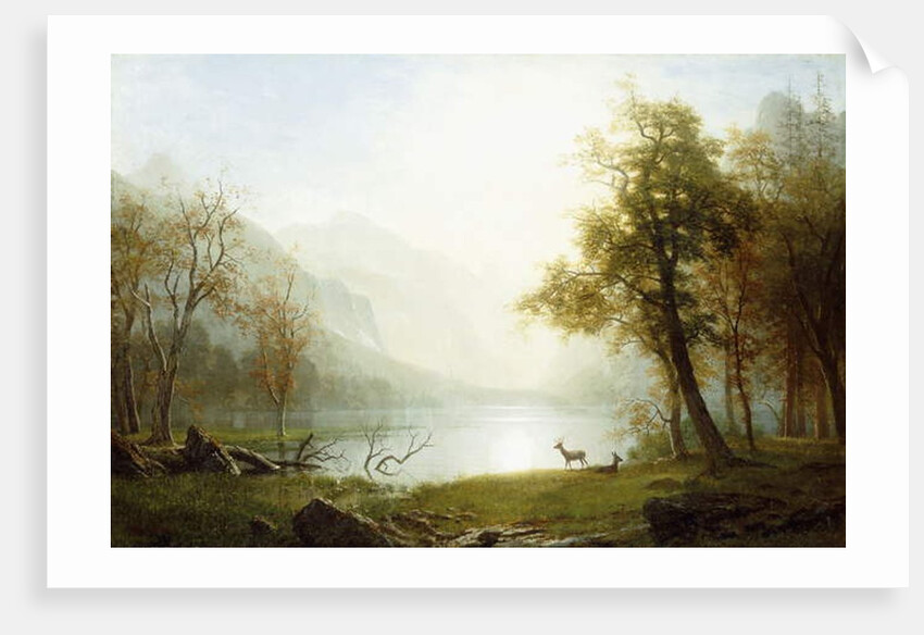 Valley in King's Canyon by Albert Bierstadt