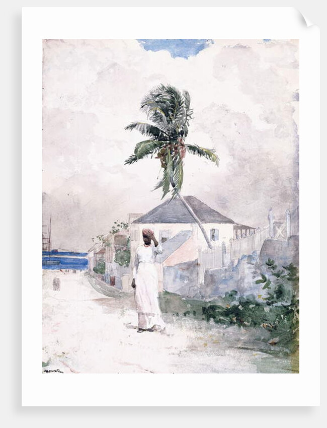 Along the Road, the Bahamas, 1885 by Winslow Homer