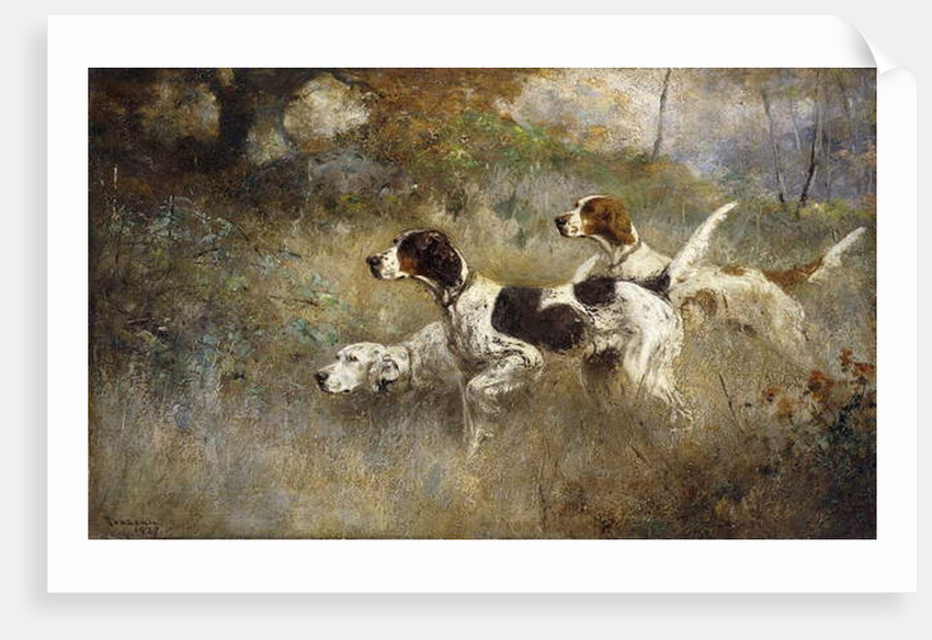 The Setters Three, Bob, Bill and Ginger on a triple point, 1927 by Percival Leonard Rosseau