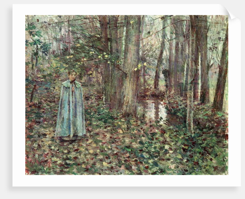 November, 1892 by Theodore Robinson