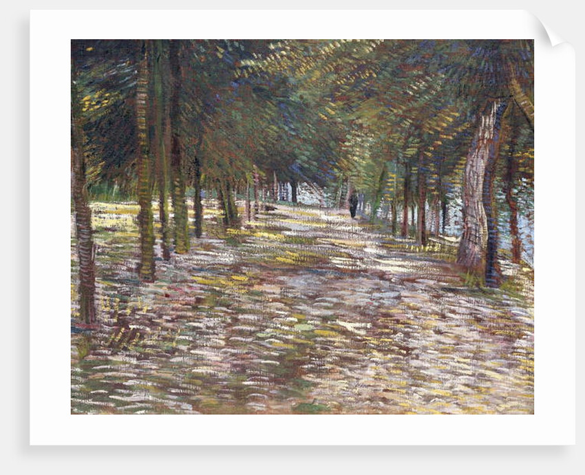 The Avenue at the Park of Voyer-d'Argenson at Asnieres, 1887 by Vincent van Gogh