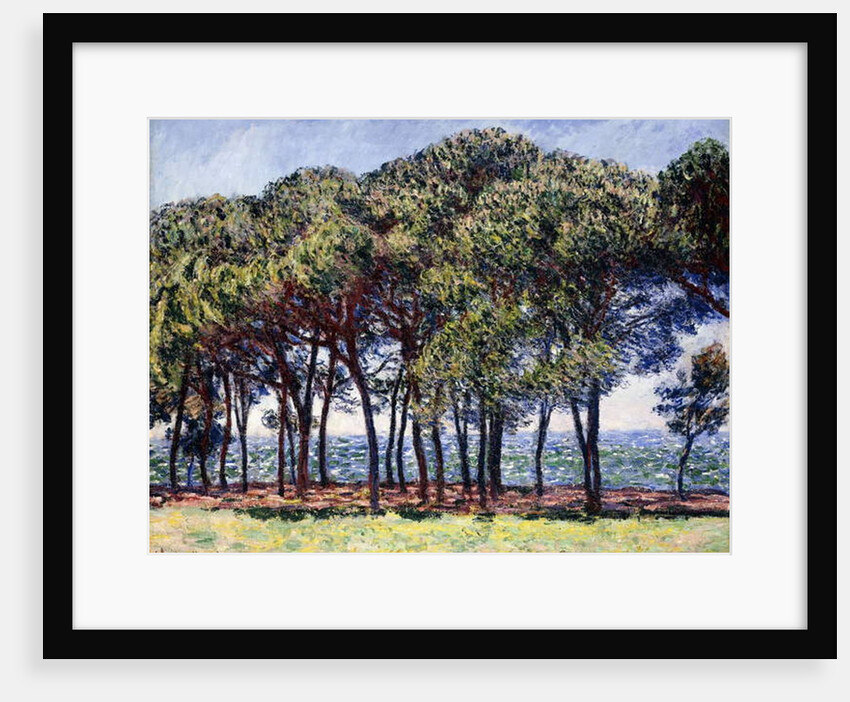 Pines, Cap d'Antibes, 1888 by Claude Monet