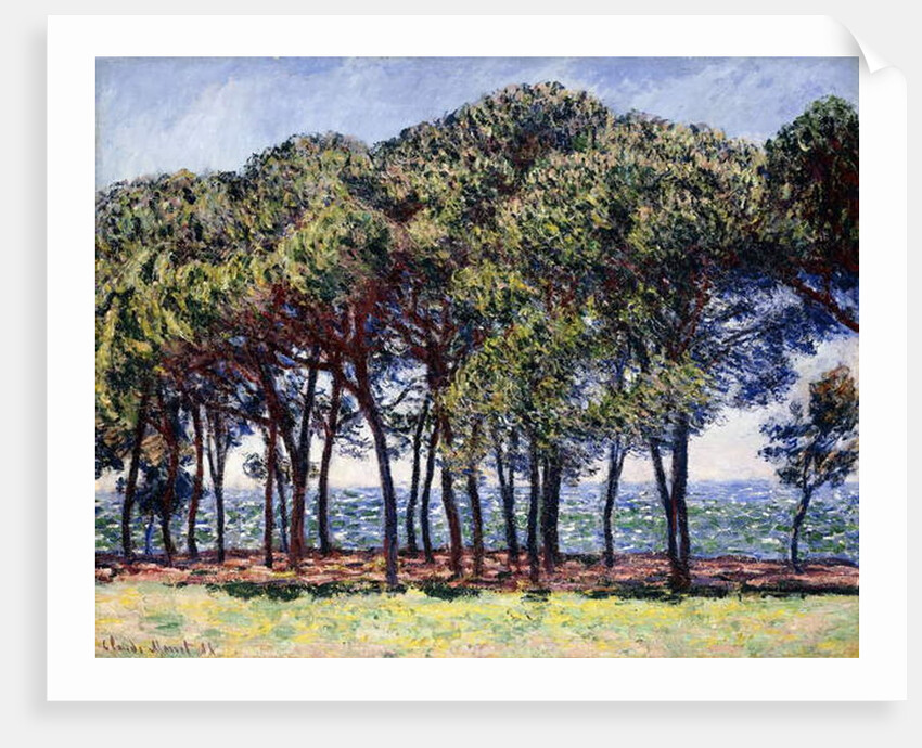 Pines, Cap d'Antibes, 1888 by Claude Monet