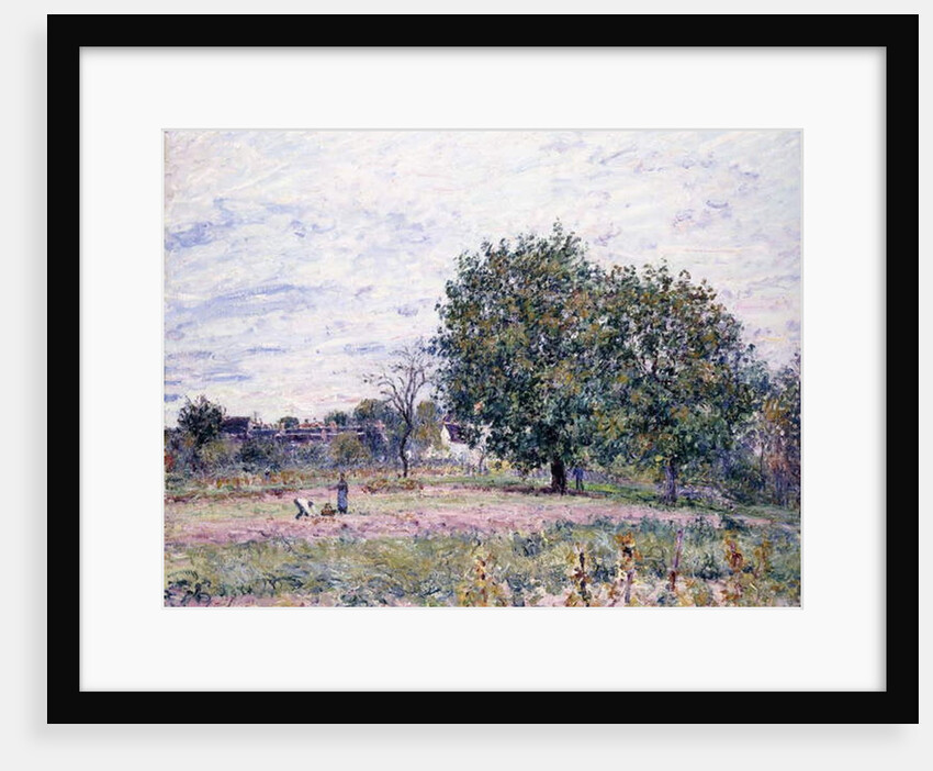 Walnut Trees, Effect of the Setting Sun - First Day of October, 1882 by Alfred Sisley