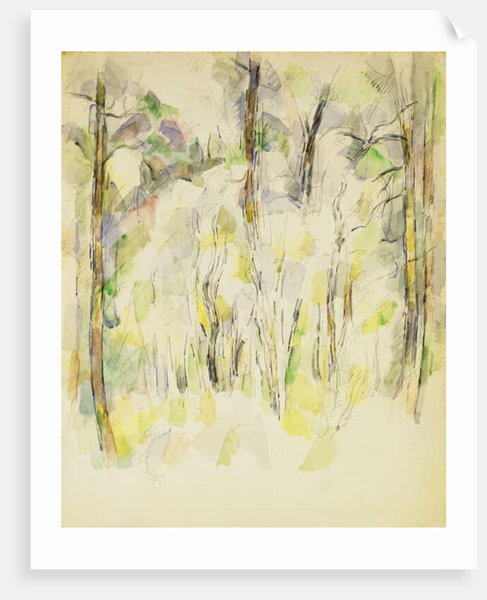 Woodland Scene, c.1900-1904 by Paul Cezanne