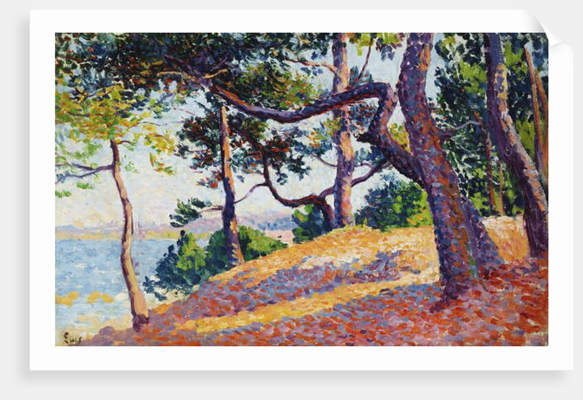 Landscape in Saint-Tropez, 1892 by Maximilien Luce