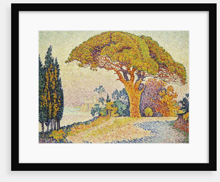 Pine Trees at Bertaud, Saint- Tropez, 1900 by Paul Signac