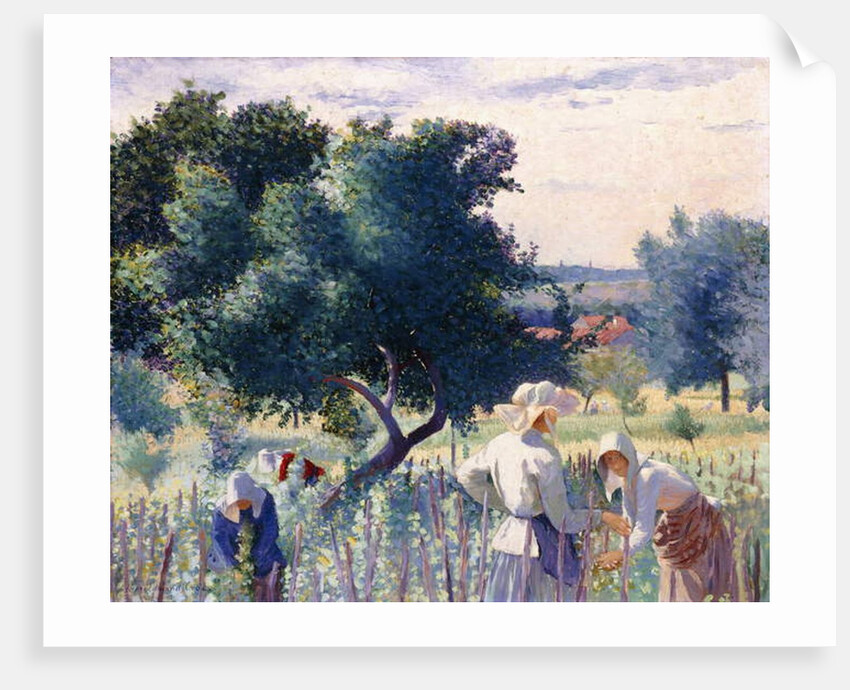 Women Binding Vines, 1890 by Henri-Edmond Cross