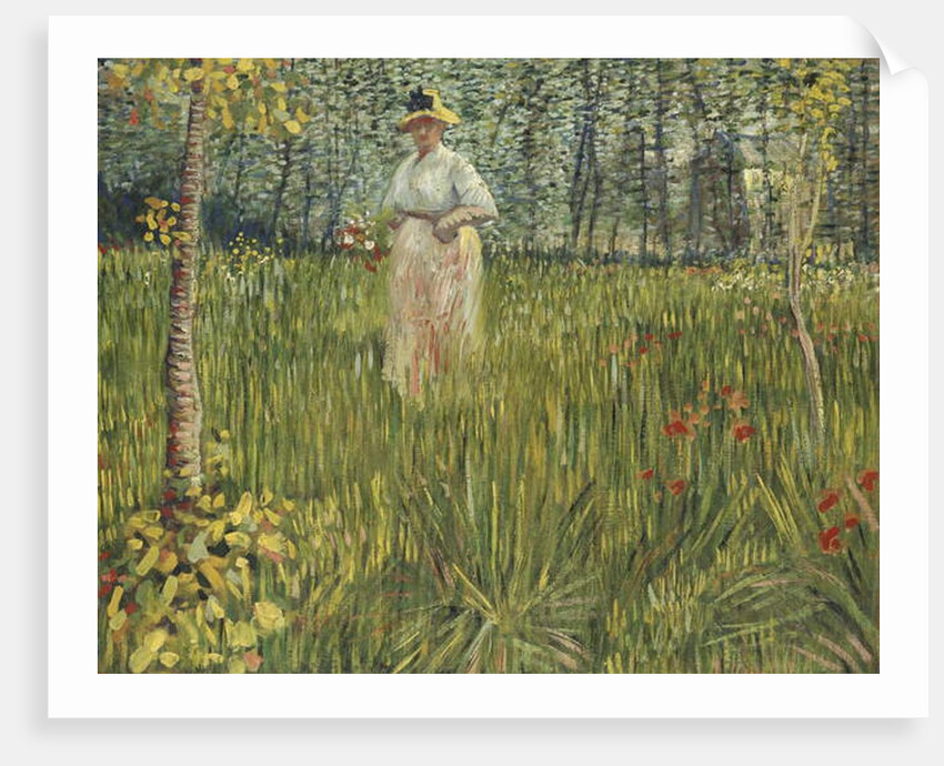 Woman in a Garden, 1887 by Vincent van Gogh