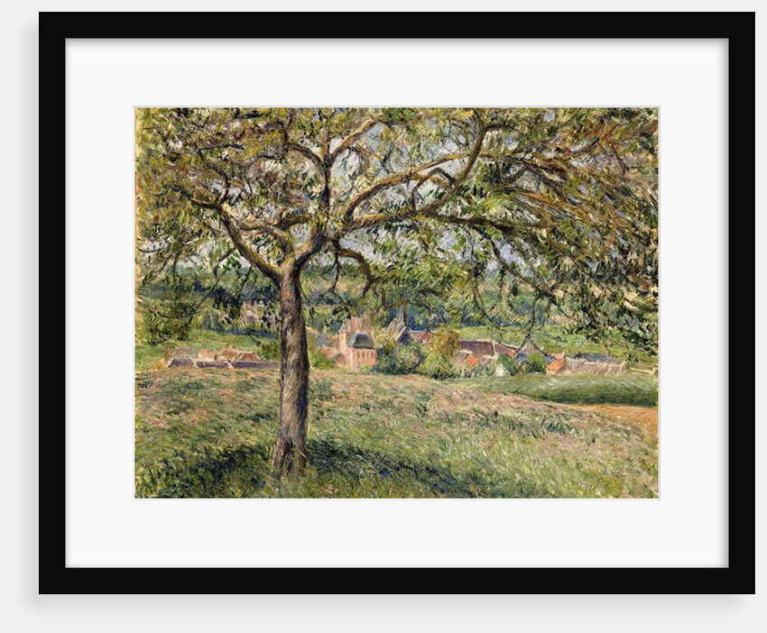 Apple Tree in Eragny, 1884 by Camille Pissarro