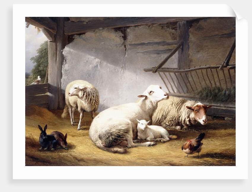 Sheep, Rabbits and a Chicken in a Barn, 1859 by Eugene Joseph Verboeckhoven