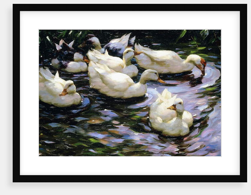 Ducks Swimming in a Sunlit Lake by Alexander Koester