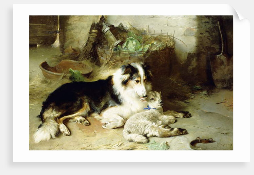 Motherless-The Shepherd's Pet, 1897 by Walter Hunt