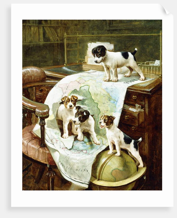 Well Travelled Jack Russell Puppies by John Hayes