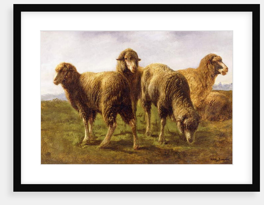 Sheep Grazing in a Meadow by Rosa Bonheur