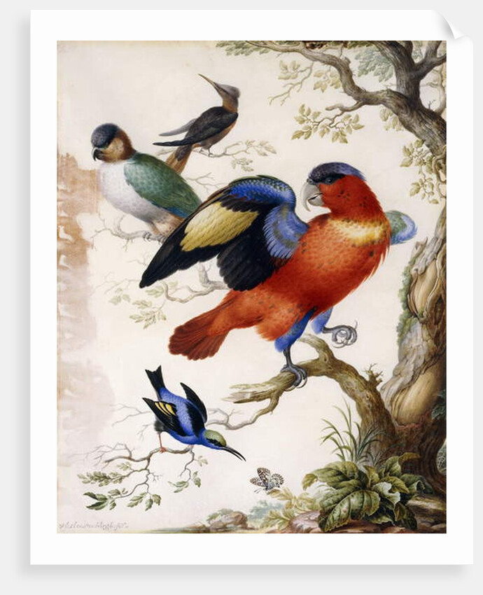 Four Birds in Wood by Herman Henstenburgh