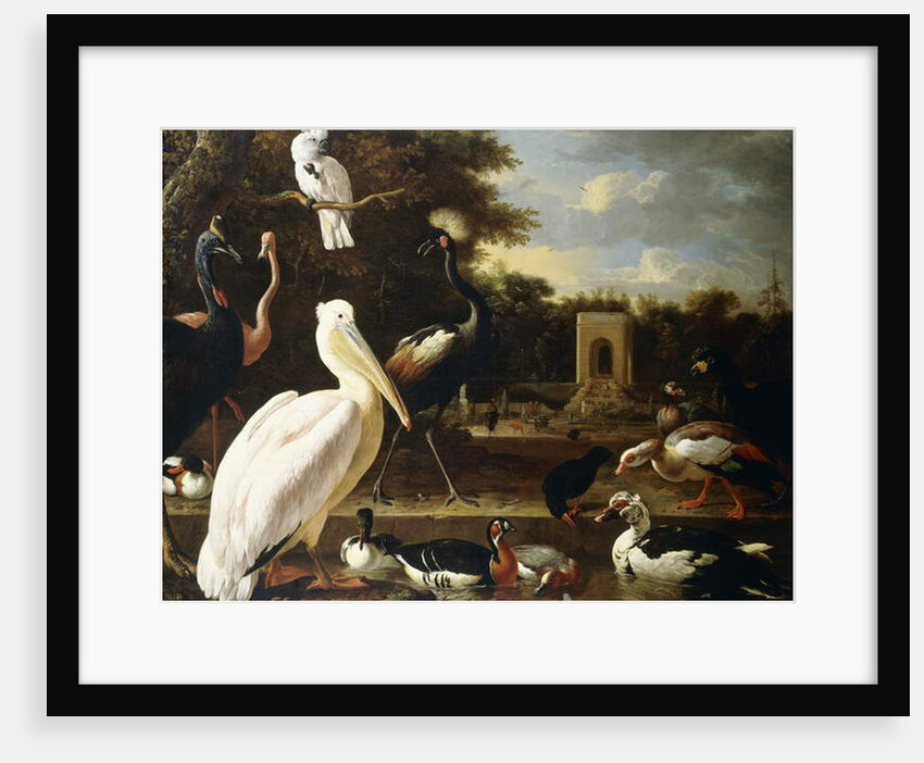 Many Different Types of Birds at a Pool in a Park by Melchior de Hondecoeter