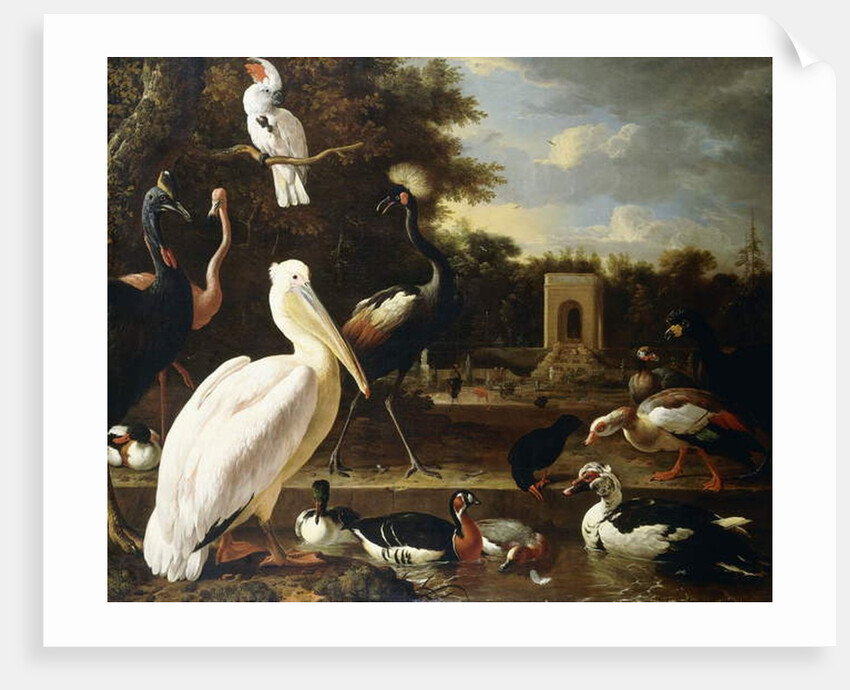 Many Different Types of Birds at a Pool in a Park by Melchior de Hondecoeter